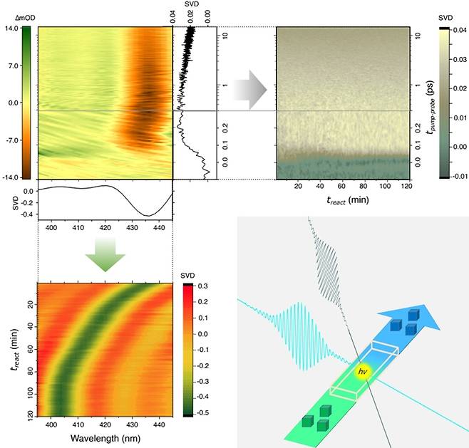 페로브스카이트 나노크리스탈의 광유도 치환 과정에서 일어나는 동역학적 변화. 광주파수 빗살 팀에서는 AI-TA 기법을 이용해 클로로포름에 분산된 페로브스카이트 나노크리스탈의 시분해 순간흡수 스펙트럼을 빠른 시간 안에 얻을 수 있었고(좌측 위), 이를 측정 시간에 따라 분석하여 핫 캐리어와 트랩 형성과 연관된 감쇠시간이 줄어드는 것을 보였고(우측 위), 밴드갭 에너지가 점점 늘어나는 것을 보였다(좌측 아래). 이는 측정 과정에서 브롬(Br)이 많은 나노크리스탈이 염소(Cl)가 많은 나노입자로 변하면서 일어나는 결과이다(우측 아래). IBS