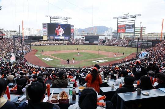 붐비는 야구장. 사진[연합뉴스]