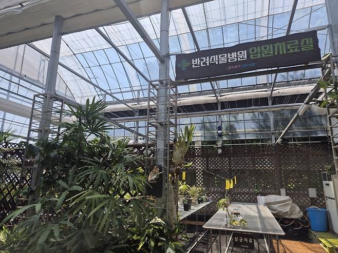 11일 오후 1시 서울 서초구 서울반려식물병원 입원치료실에 식물들이 배치돼 있다. [이수민 기자]