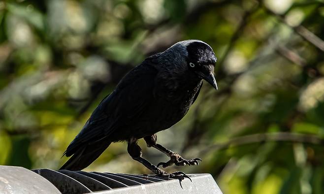기사 이해를 돕기 위한 자료사진. 게티이미지뱅크