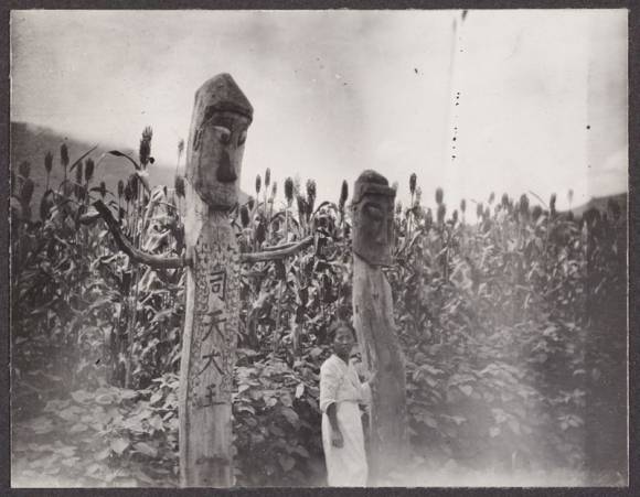 20세기 초 미국 하버드대의 아널드수목원은 식물학자를 한반도에 파견해 토종 식물을 수집하고 현지 모습을 사진으로 기록했다. 광복 80주년을 맞아 국립수목원과 아널드수목원이 일제강점기 자연환경과 생활상을 담은 이 사료들을 바탕으로 식물 문화유산의 역사적 가치를 조명하는 공동 출판물을 발간하기로 했다. 프랭크 마이어가 1906년 8월 3일 한반도 북부 수수밭과 들깨밭 주변에서 촬영한 장승. 서구학자들은 ‘totem pole’(무속 기둥)이라고 기록해 두었다. 아널드수목원 제공