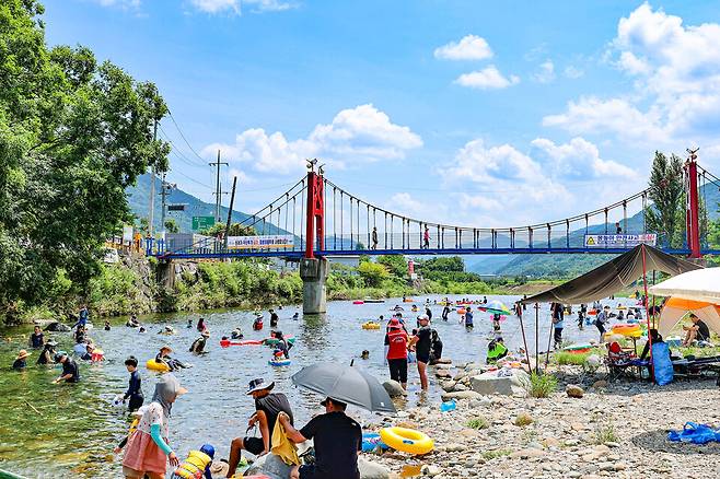 지난해 여름 산청 심장면 송정숲 ⓒ산청군