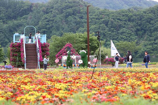 지난달 27일 개막한 2025 자라섬 봄꽃 페스타. 오는 15일까지 자라섬 남도 일원에서 23일간 일정으로 진행된다. 사진=가평군