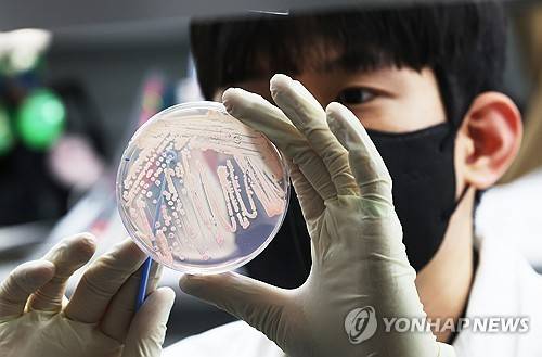 기온이 오르며 식중독 위험이 증가하고 있는 지난달 19일 경기도 수원시 권선구 경기도보건환경연구원에서 연구원들이 식중독균 배양분리작업을 시연하고 있다. 연합뉴스 제공