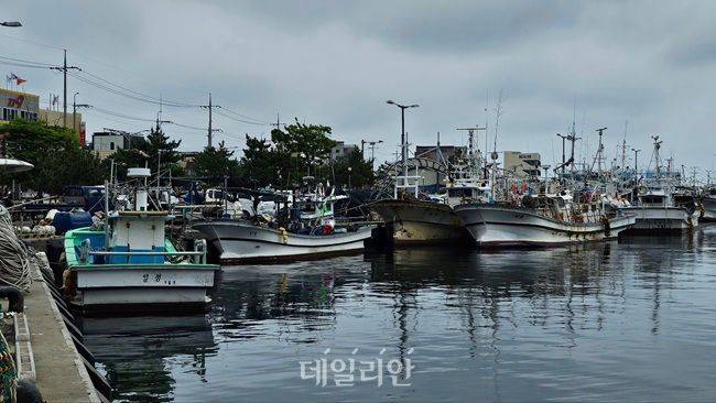 경북 포항시 구룡포항에 어선들이 정박해 있다. ⓒ데일리안 장정욱 기자