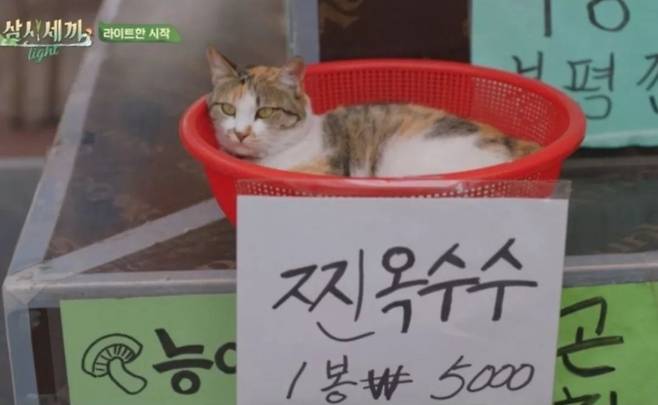 삼시세끼에 나온 한봉에 5천원짜리 찐옥수수 삼시세끼에 나온 한봉에 5천원짜리 찐옥수수