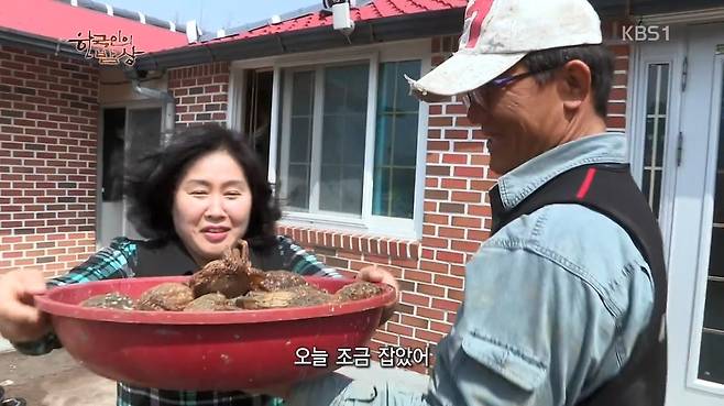 한국인의 밥상 - 왕밤송이게 된장찌개 , 왕밤송이게 찜(스압) 한국인의 밥상 - 왕밤송이게 된장찌개 , 왕밤송이게 찜.jpg