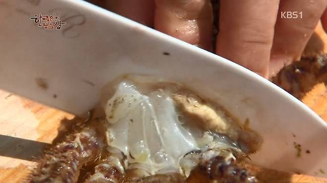 한국인의 밥상 - 왕밤송이게 된장찌개 , 왕밤송이게 찜(스압) 한국인의 밥상 - 왕밤송이게 된장찌개 , 왕밤송이게 찜.jpg