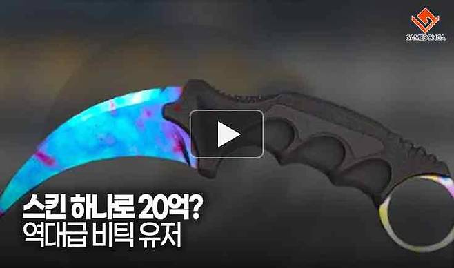 스킨 하나로 20억 역대급 비틱 유저