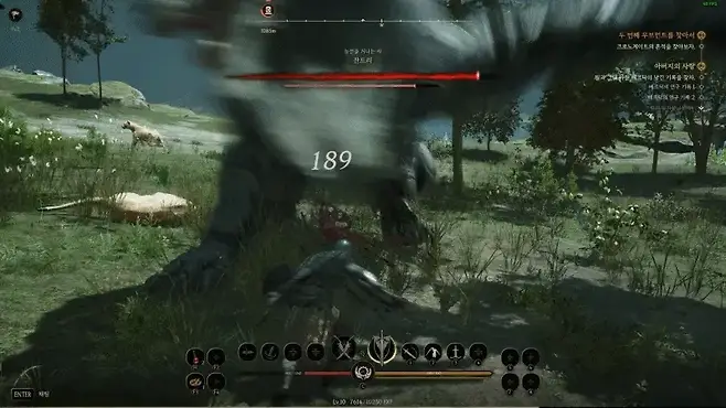 ▲ 무적자리 발견