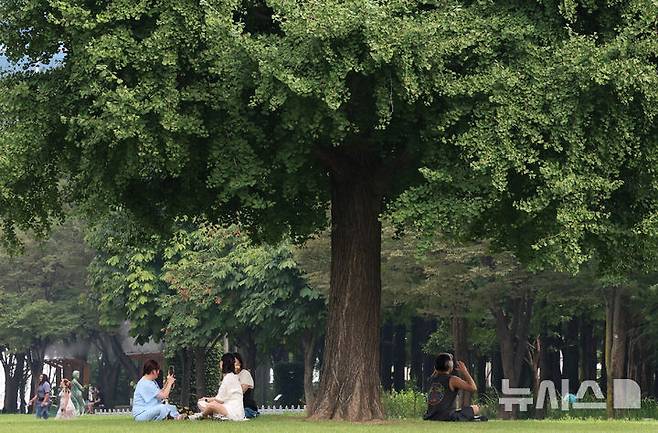 [서울=뉴시스] 이영환 기자 = 폭염이 이어지고 있는 26일 오후 서울 성동구 서울숲에서 시민들이 더위를 피하고 있다.2024.08.26. 20hwan@newsis.com