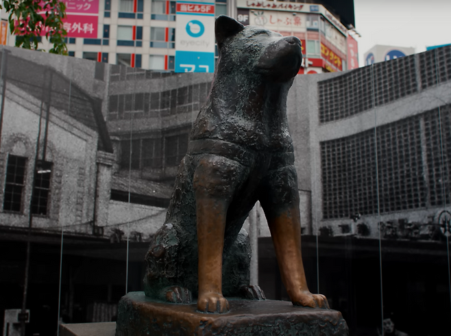 후지이 카제(Fujii Kaze·ふじいかぜ)가 13일 공개한 정규 3집 수록곡 '하치코(Hachikō)' 뮤직비디오. 유니버셜뮤직