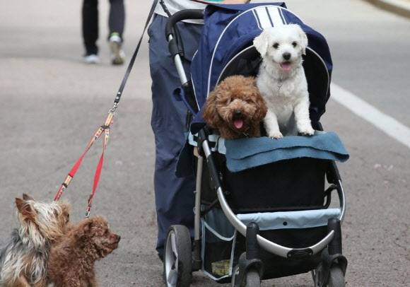 (사진=연합뉴스)