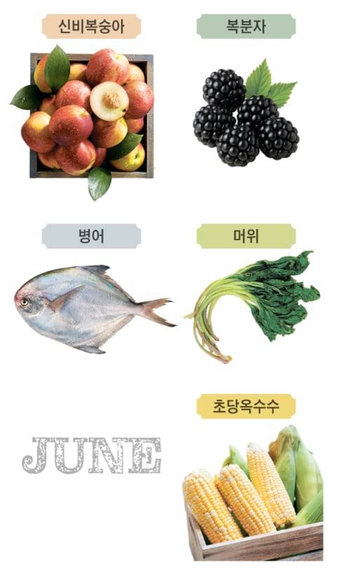 6월 바로 지금 제철이라는 각종 신선 식품. /그래픽=송윤혜
