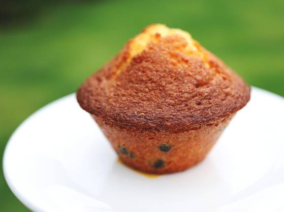 부드러운 식감과 블루베리의 상큼함을 느낄 수 있는 디저트 블루베리 머핀. 사진 염혜민