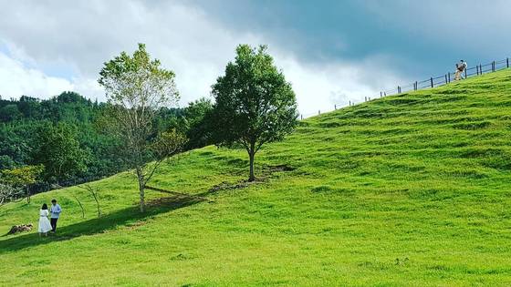 강원도 태백시 번화가를 조금 벗어나면 뜻밖의 풍경을 만난다. 해발 800m에 자리한 몽토랑산양목장이 스위스에 온듯한 착각을 안겨준다. 몽토랑은 ‘몽글몽글 구름 아래 토실토실 유산양을 너랑 나랑 만나보자’라는 뜻. 2021년 문 열었다. 강원 태백시 효자1길 27-2. [사진 태백시]