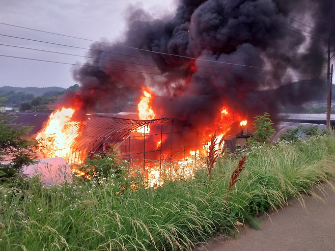 13일 오후 예천군 개포면 동송리 소재 비닐하우스에서 원인을 알 수 없는 화재가 발생했다.[경북소방본부 제공]