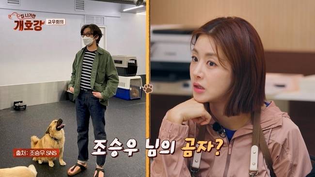 JTBC ‘집 나가면 개호강’