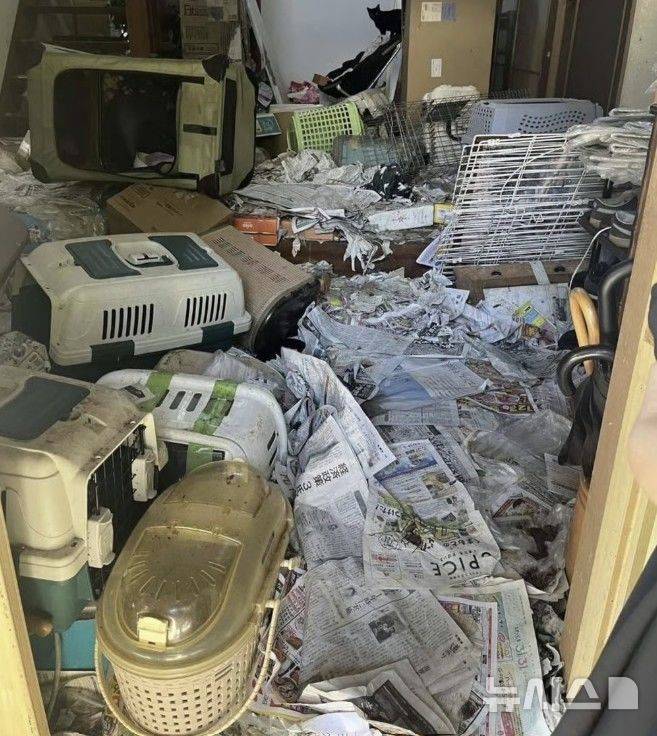 [뉴시스] 150마리의 고양이 사체가 발견된 곳은 다름 아닌 동물보호단체에서 자원봉사자로 활동하고 있는 여성의 집이었다. (사진=홍콩 사우스차이나모닝포스트) 2025.6.13