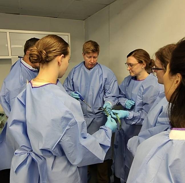 워크숍에 참가한 미국 애리조나 소재 병원의 의료진이 오목가슴 임플란트(엘앤케이바이오메드 '팩투스')에 대해 설명을 듣고 있다. [엘앤케이바이오메드 제공]