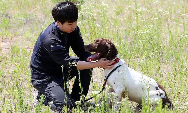 초지훈련장에서 공놀이를 마친 최우현 사양관리사가 듀크(2018년생, 스프링어스패니얼)와 교감을 하고 있다.