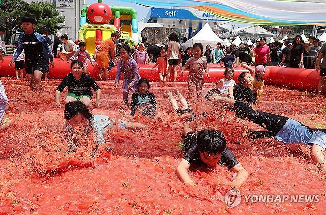 토마토 세상 (경기 광주=연합뉴스) 홍기원 기자 = 16일 오후 경기도 광주시 퇴촌면 광동로 일원에서 열린 '제22회 퇴촌 토마토 축제'에서 '황금 토마토를 찾아라' 이벤트에 참가한 어린이들이 토마토 풀장에서 즐거워하고 있다. 2024.6.16 xanadu@yna.co.kr