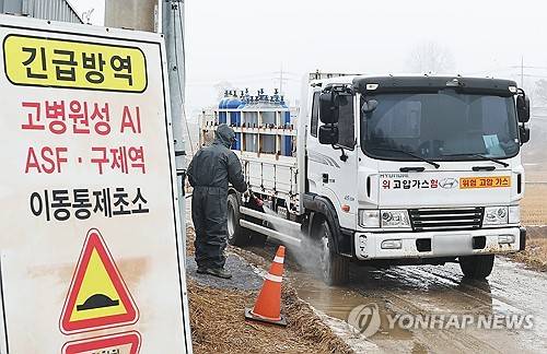 조류 인플루엔자 방역 [연합뉴스 자료사진]