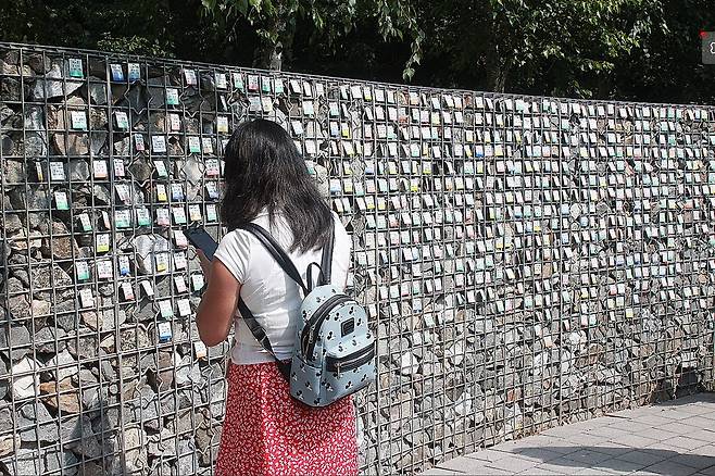 입양인 700명 이름표가 걸려있는 '기억의 벽' (파주=연합뉴스) 박현수 기자 = 14일 경기 파주 엄마품동산 내 가장자리에 있는 기억의 벽에서 한 입양인이 입양인들의 이름표를 들여다보고 있다. 2025. 06. 14. phyeonsoo@yna.co.kr