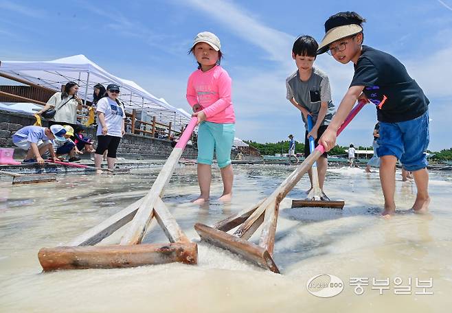 15일 오전 시흥시 갯골생태공원 염전체험장에서 열린 제8회 시흥염전소금제에서 어린이들이 염전체험을 하며 즐거운 시간을 보내고 있다. 임채운기자