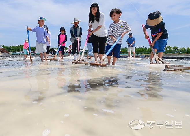 15일 오전 시흥시 갯골생태공원 염전체험장에서 열린 제8회 시흥염전소금제에서 어린이들이 염전체험을 하며 즐거운 시간을 보내고 있다. 임채운기자
