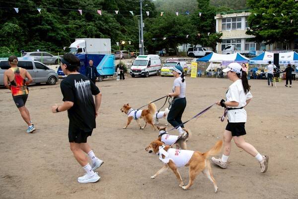 제20회 독도지키기 울릉도 국제마라톤대회 (사진제공=울릉군청)