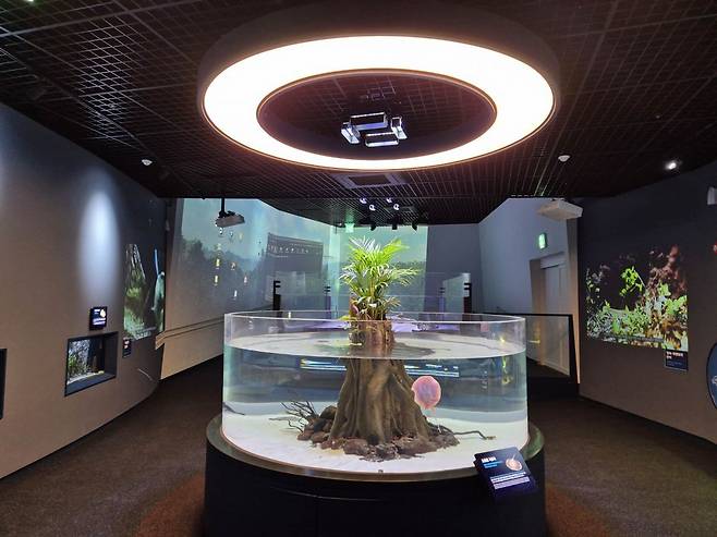 충북 단양의 대표 관광 명소인&nbsp;단양 다누리아쿠아리움이 시설 보강을 마치고 내달 1일 정식 개관한다. 사진은 아트리움. 단양군 제공