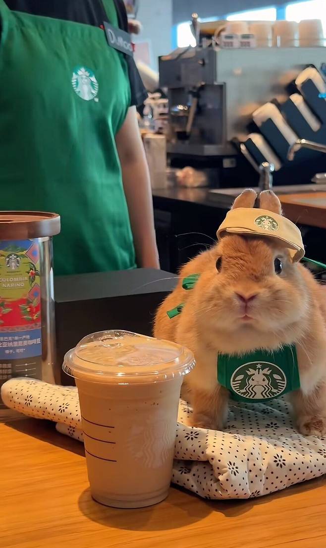 스타벅스의 귀여운 똥싸개 점원