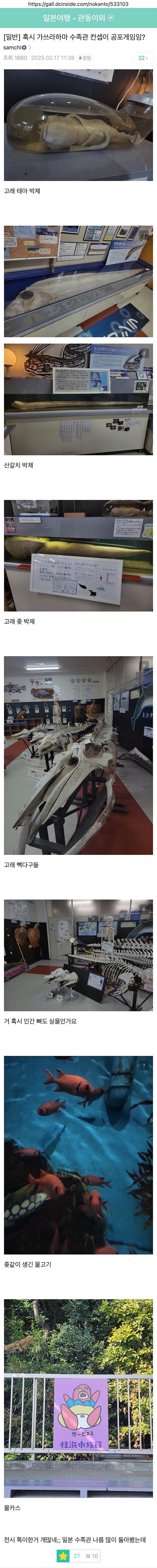 image.png 괴상한 일본 수족관 jpg