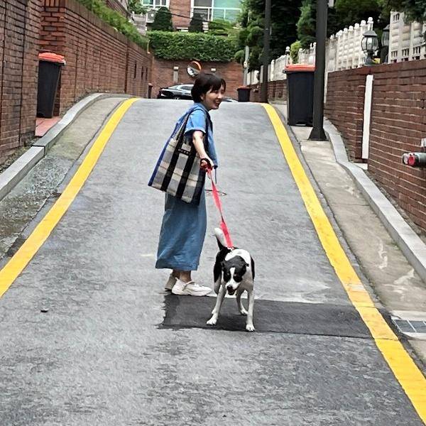 지난 2022년 12월 입양한 반려견 '루돌이'와 함께 산책하고 있는 소설가 정이현. 정이현 작가는 최근 루돌이와 함께한 반려생활을 기록한 산문 '어린 개가 왔다'를 출간했다. 한겨레출판 제공