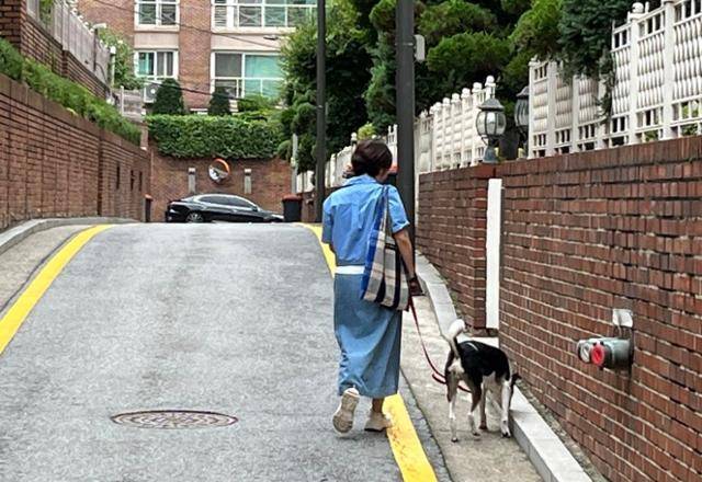 반려생활이라는 미지의 영역에 발을 들인지 2년 반, 그는 이 영역에 발을 들일지 망설이는 이들에게 "좋은 보호자가 될 것 같다"라고 말했다. 한겨레출판 제공