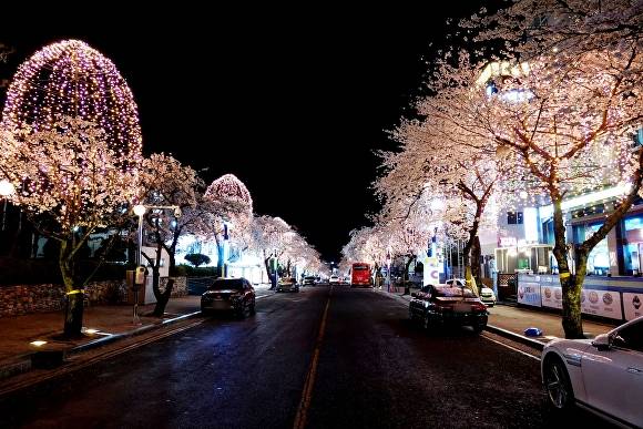 창녕 '부곡온천 빛거리' 전경. [사진=경남 창녕군]