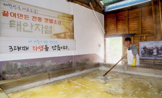 지난 6월 9일 충남 태안군 근흥면의 한 농업법인에서 자염을 생산하고 있다. [사진 태안군]