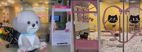 부산도시철도 2호선 수영역~광안역 지하상가에 있는 강아지 유치원과 캣 카페.