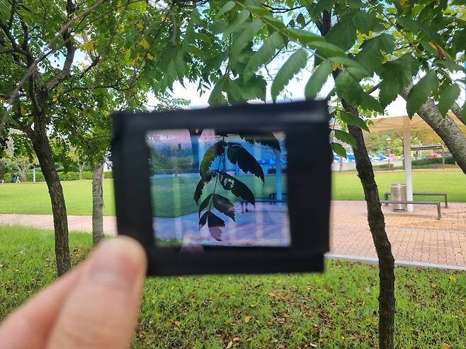 UNIST 연구진이 개발한 [반투명 태양전지 모듈.[UNIST 제공]