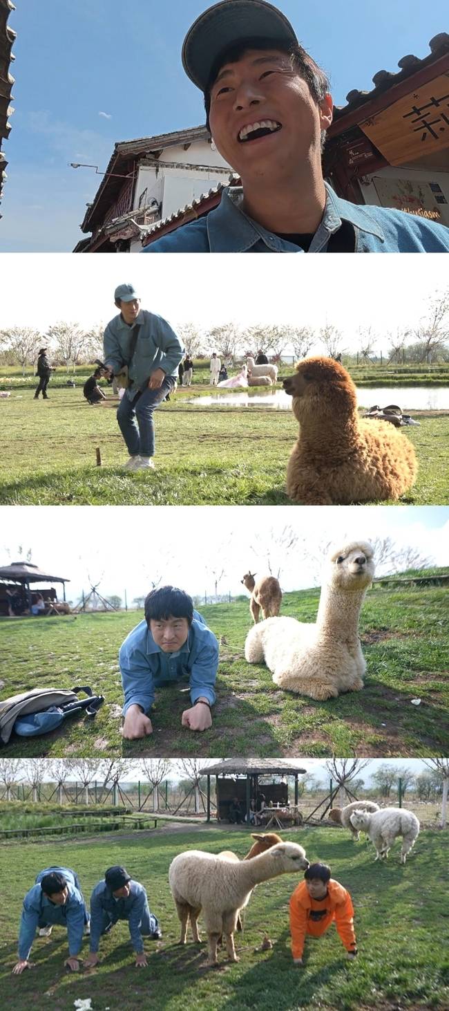 MBC ‘태어난 김에 세계일주4’ 제공