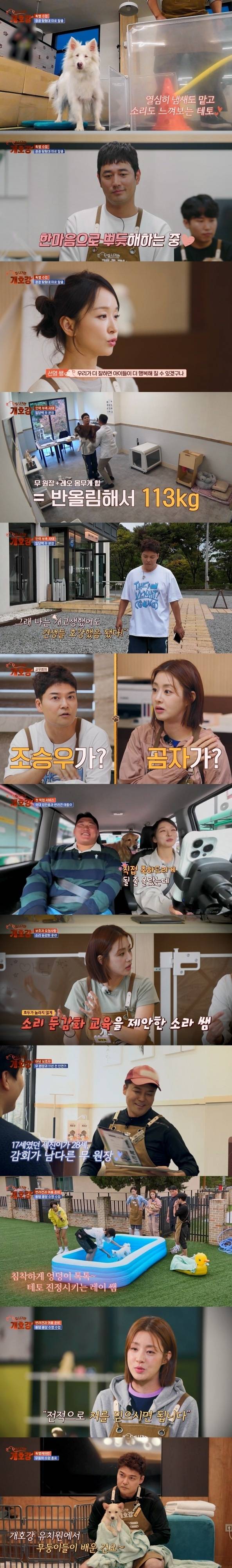 JTBC ‘집 나가면 개호강’