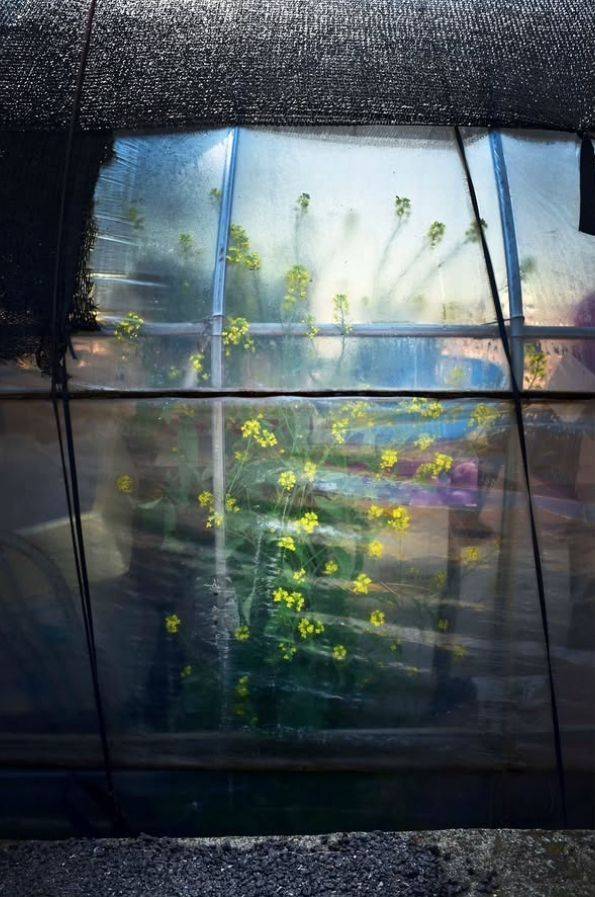 김도형 인스타그램