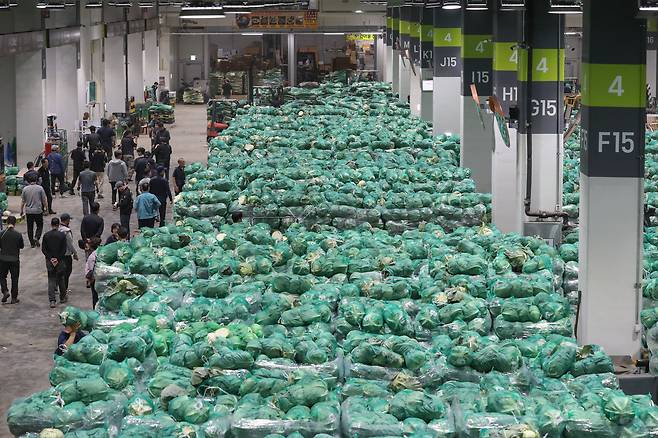 지난 5일 오후 10시 서울 송파구 가락시장 채소2동 경매장에서 양배추 경매가 진행되고 있다. 경매가 마무리된 지 30여 분 만에 양배추 거래량, 거래액, 출하 산지 등을 농수산식품공사 유통 정보 홈페이지에서 확인할 수 있었다. 올해 40주년을 맞는 가락시장은 최근 급변하는 유통 환경을 반영해 이 같은 변신을 본격적으로 시작했다. /박성원 기자