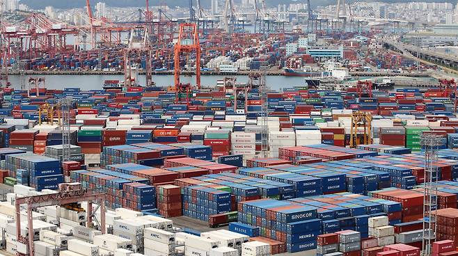 지난 11일 부산항 신선대부두와 감만부두 야적장에 컨테이너가 가득 쌓여 있다. /뉴스1