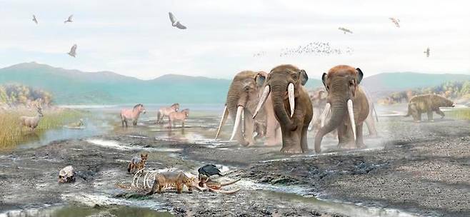 플라이스토세 동물 화석이 다수 발견된 유적지 '타구아타구아 호수'의 생물 다양성을 보여주는 그림./Mauricio Álvarez