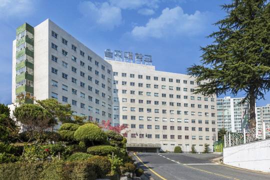 을지대학교 대전캠퍼스 전경. 을지대학교 제공