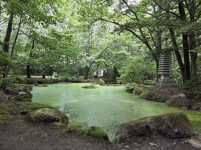 viewimage.php?id=23b2db27ebc637&no=24b0d769e1d32ca73de883fa1bd62531caf022a001a6328b8fcf4dbd347c71c7aaaad0c21bbd7a347ba6d1f5940dce9691776eb4fd2b7825f34ff996052651a3acbf