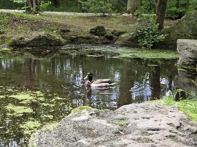 viewimage.php?id=23b2db27ebc637&no=24b0d769e1d32ca73de883fa1bd62531caf022a001a6328b8fcf4dbd347c71c7aaaad0c21bbd7a347ba6d1f5940dce9691776eb4fd2b2870a64bf0c3027051a37c52