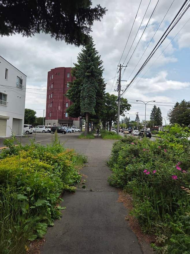 viewimage.php?id=23b2db27ebc637&no=24b0d769e1d32ca73de883fa1bd62531caf022a001a6328b8fcf4dbd347c71c7aaaad0c21bbd7a347ba6d198f20cc1999dbcd6c1648d1e7b7da928a09ad0170268efea